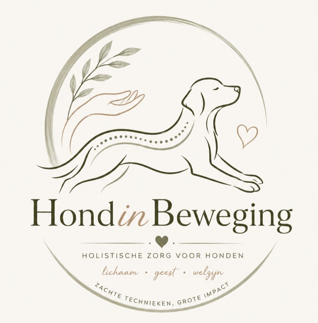 Bewegingstherapie voor honden